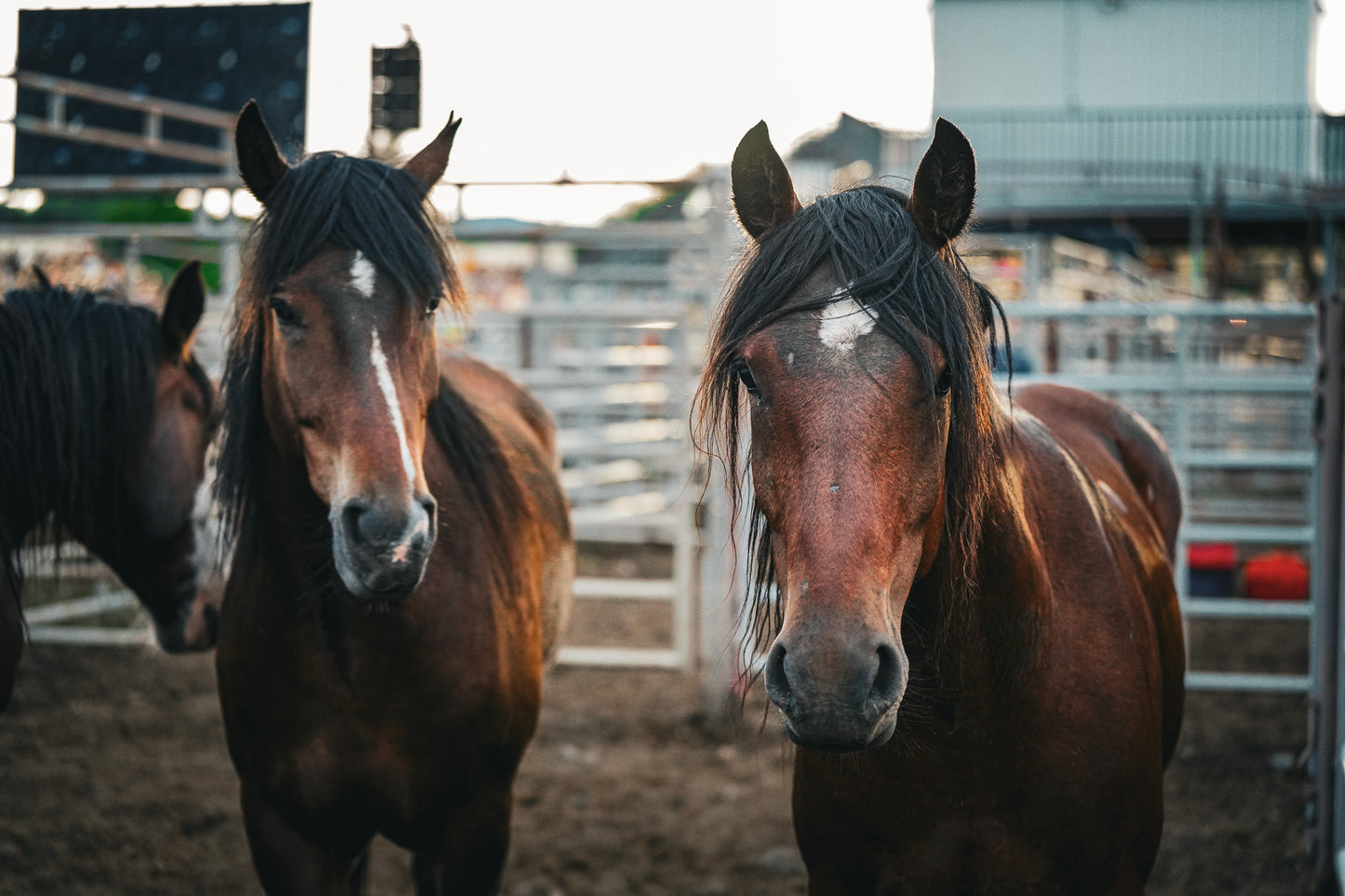 Whispers of the West