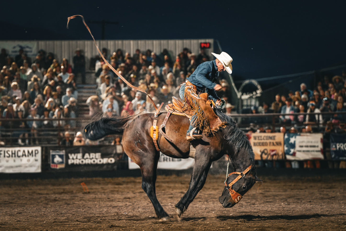 Adrenaline in the Arena