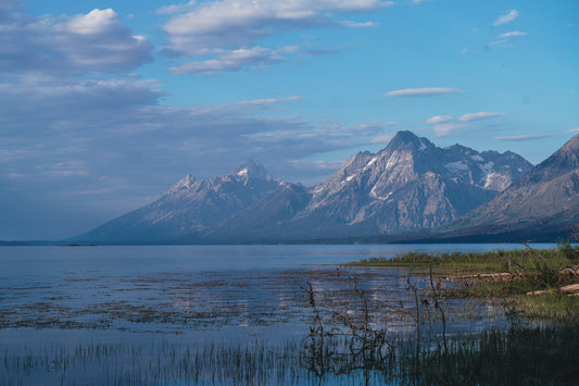 Tetons in the Morning
