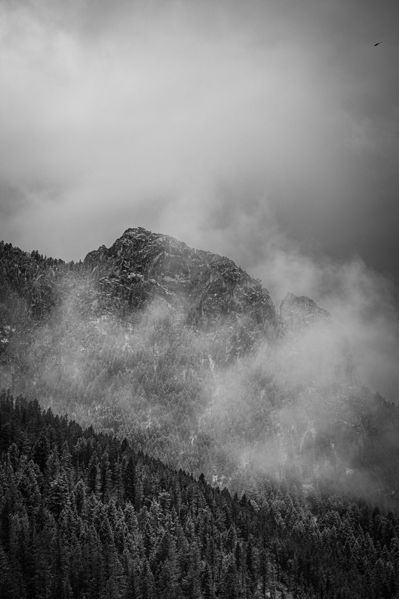 Veil of the Mountains