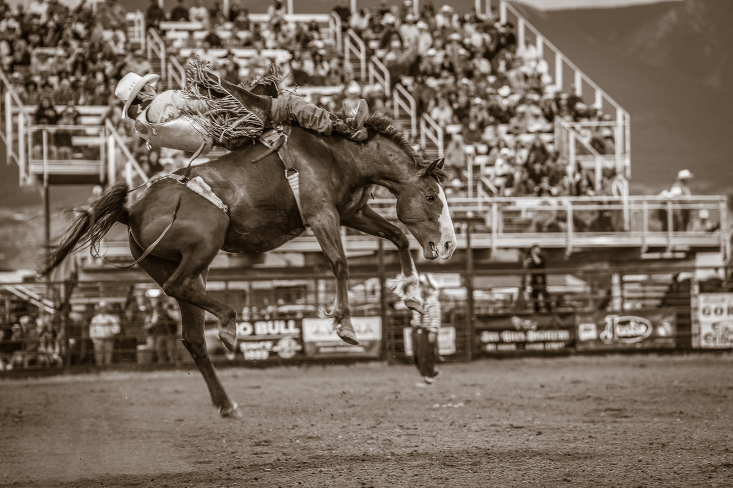 The Power of the Ride