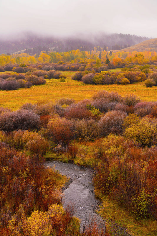Autumn in the Valley