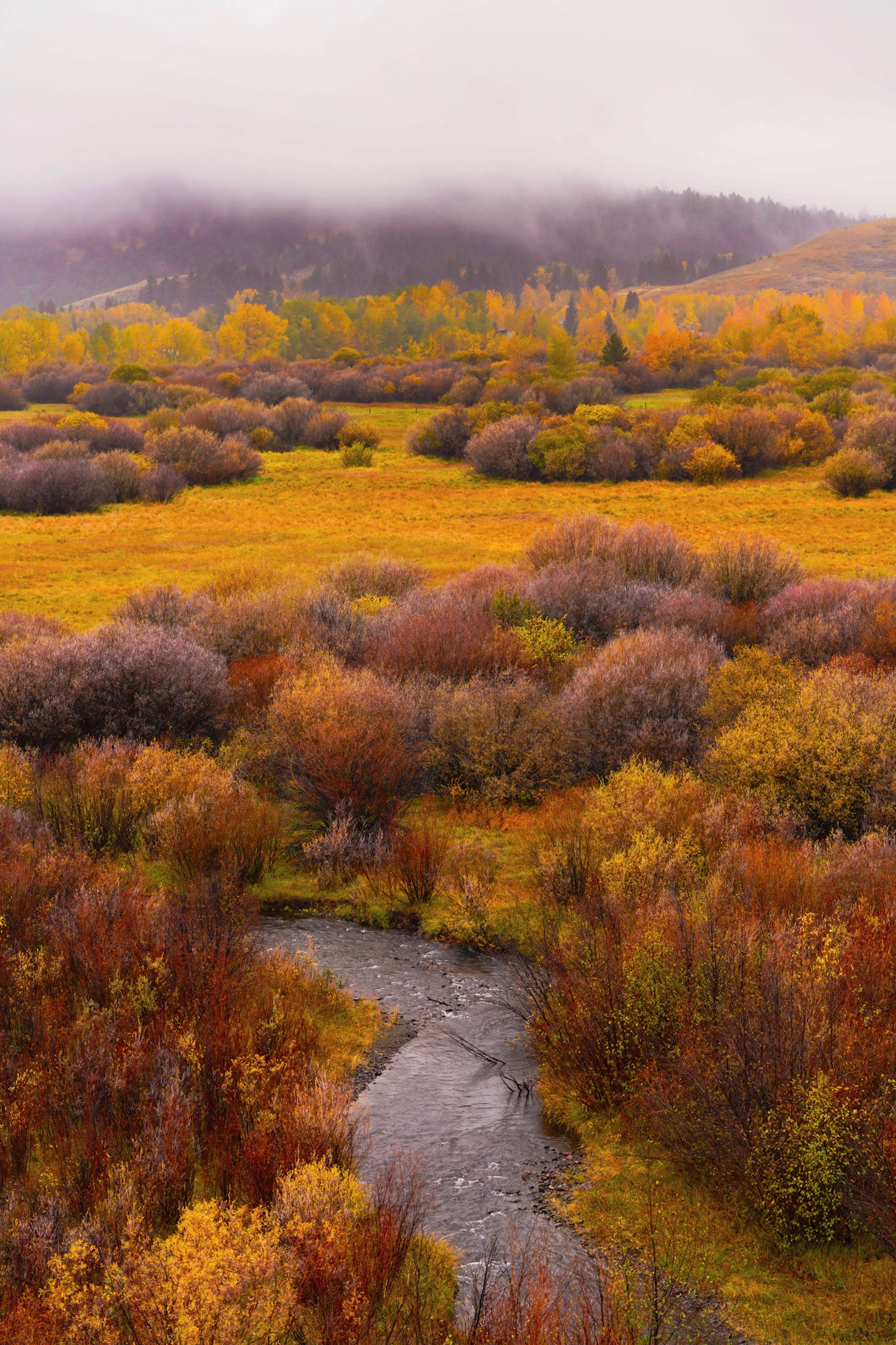 Autumn in the Valley