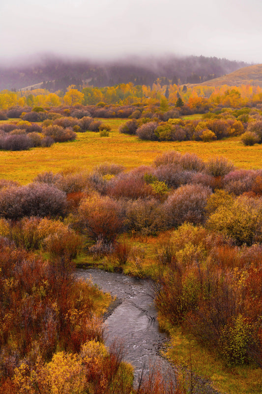 Autumn in the Valley