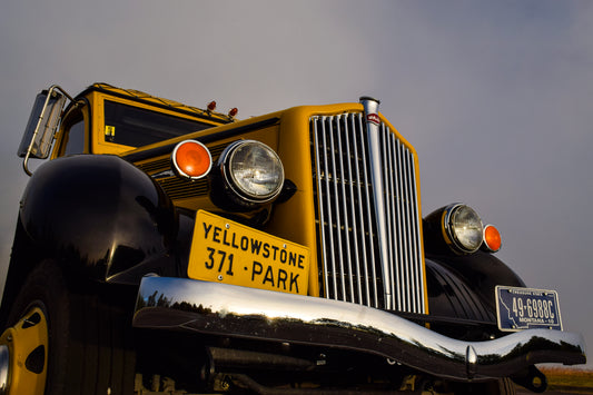 Yellowstone Icon